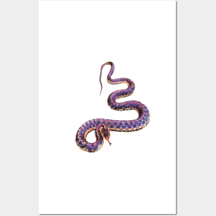 Purple Snake Posters and Art